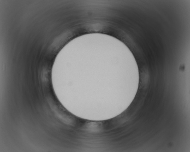 X0000115780126200912241819