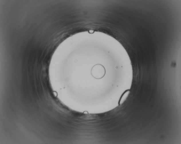 X0000115780128200912241819