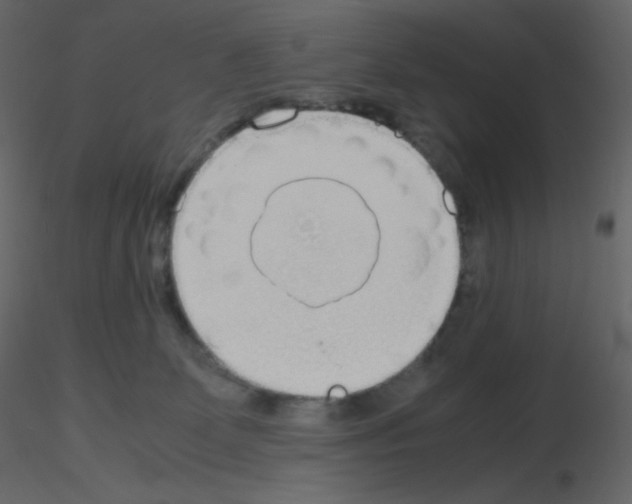 X0000115780131200912241818