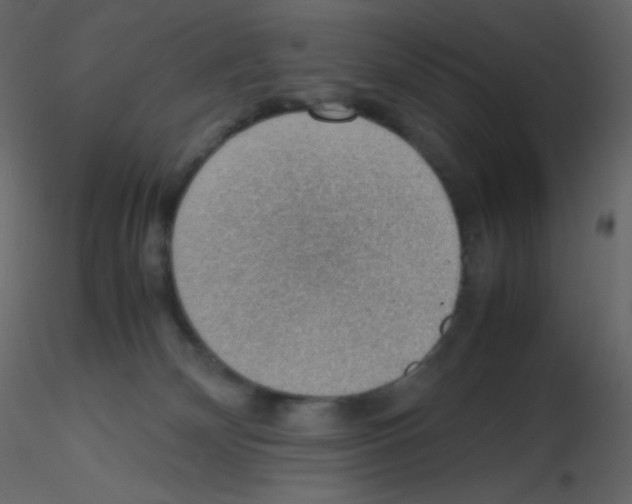 X0000115780132200912241818