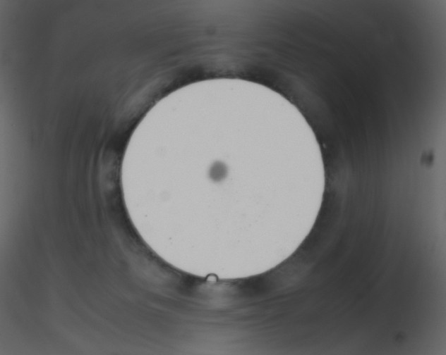 X0000115780133200912241818