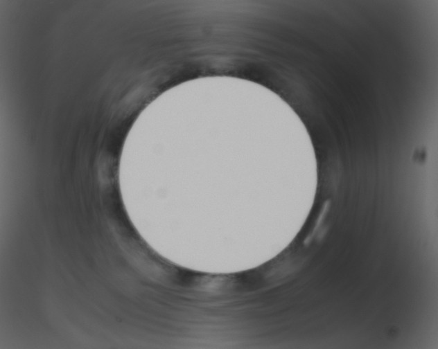 X0000115780135200912241818