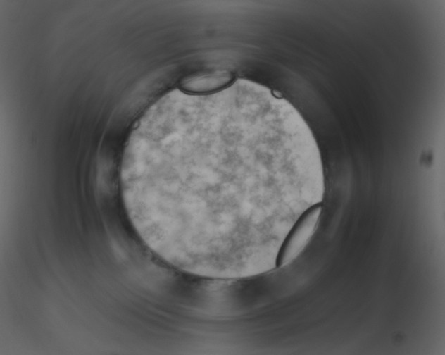 X0000115780136200912241818