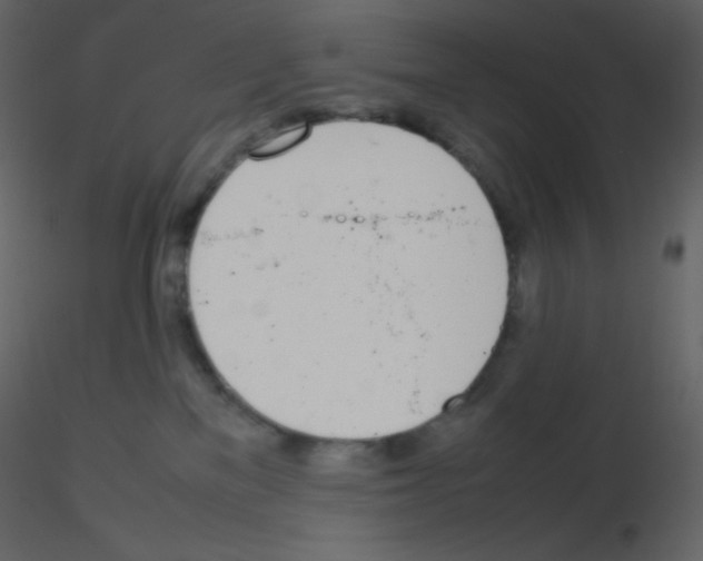 X0000115780137200912241818