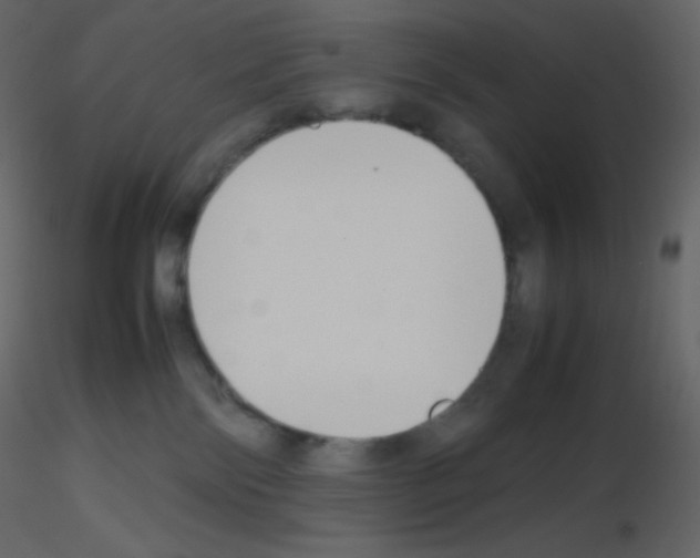 X0000115780138200912241818