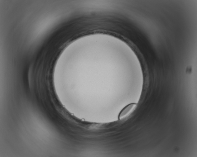 X0000115780140200912241818