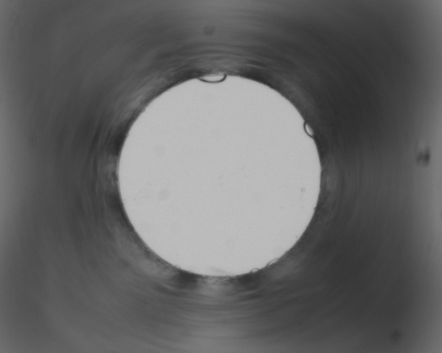 X0000115780141200912241818