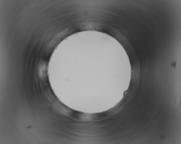 X0000115780142200912241818