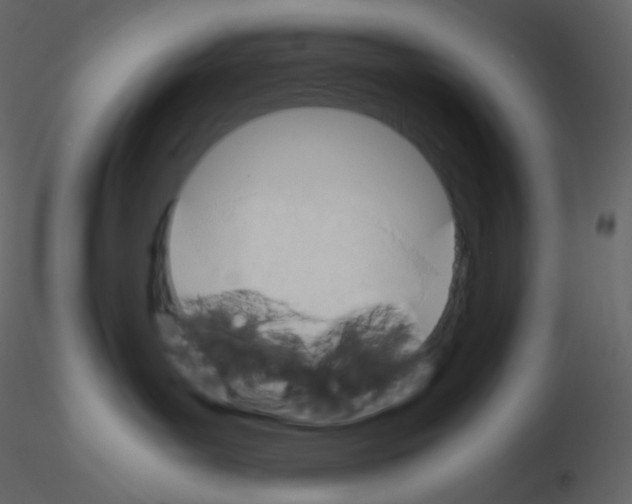 X0000115780143200912241818