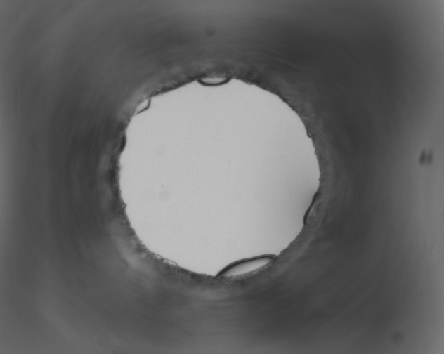 X0000115780144200912241818