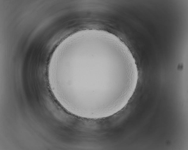 X0000115780146200912241818