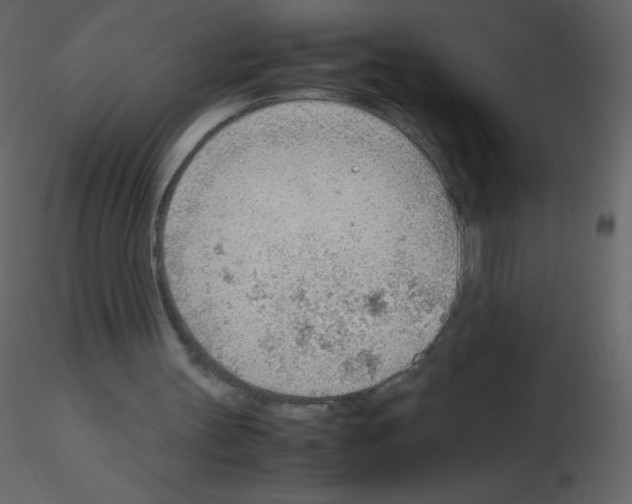 X0000115780147200912241818