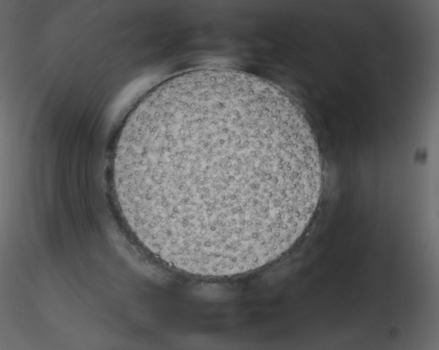 X0000115780149200912241818