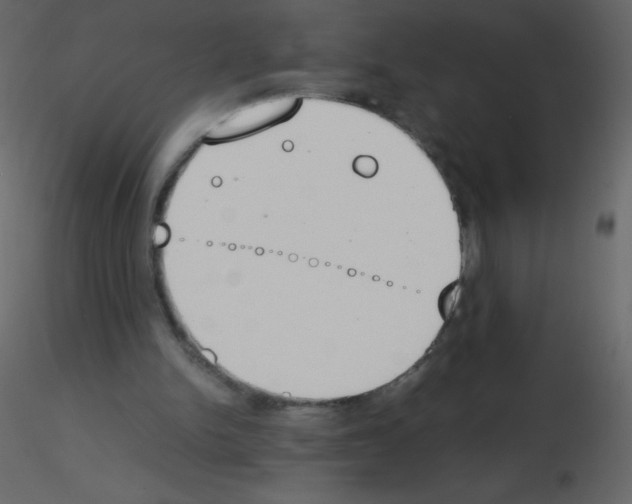 X0000115780150200912241818