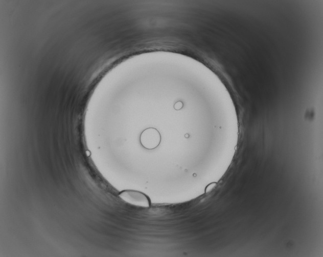 X0000115780154200912241818