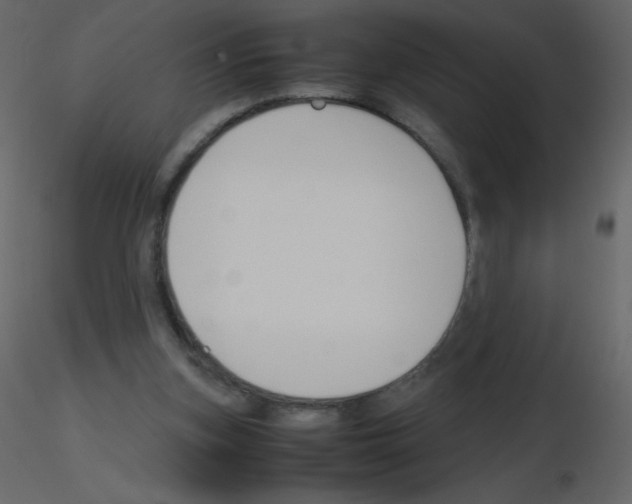 X0000115780155200912241818