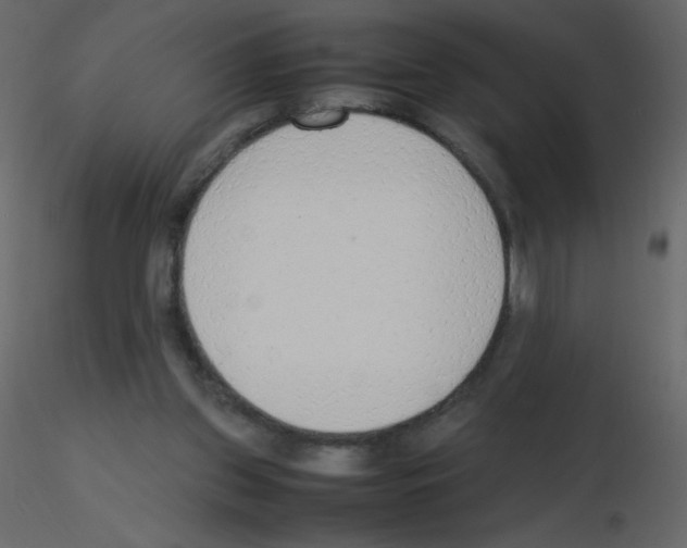 X0000115780157200912241818