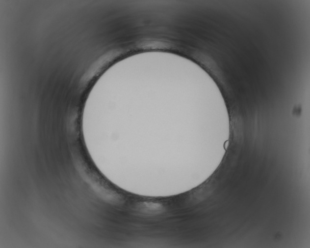 X0000115780159200912241818