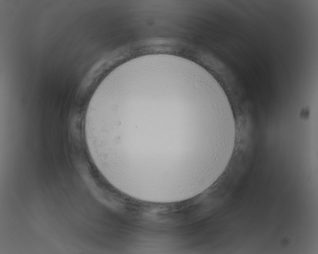 X0000115780162200912241818