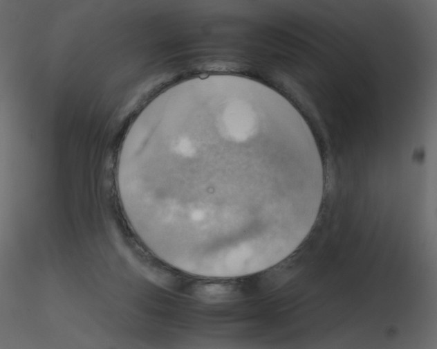 X0000115780163200912241818