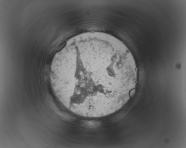 X0000115780165200912241818