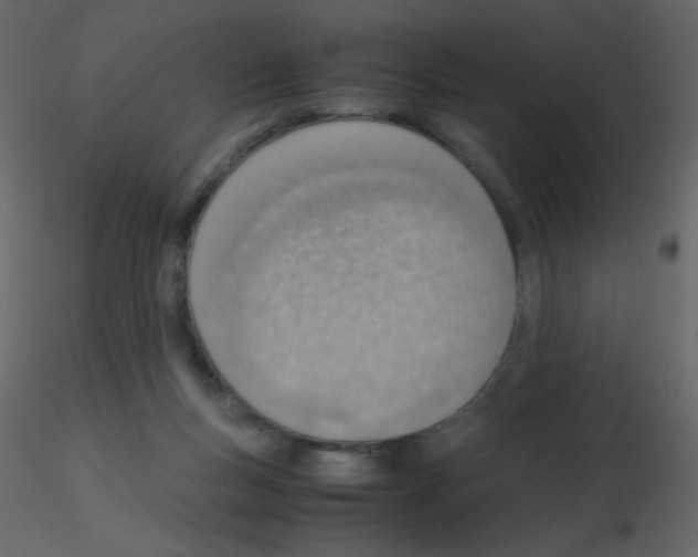 X0000115780167200912241818