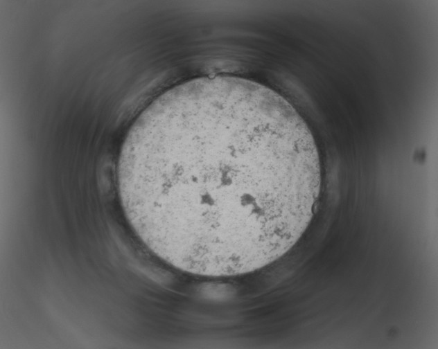 X0000115780169200912241818