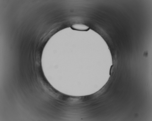 X0000115780170200912241818