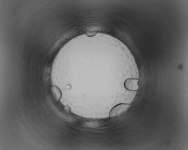 X0000115780171200912241818