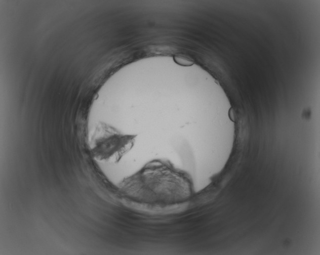 X0000115780173200912241818