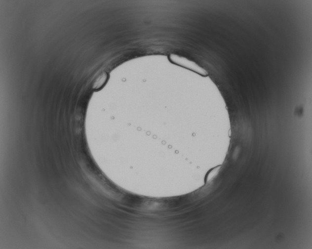 X0000115780174200912241818