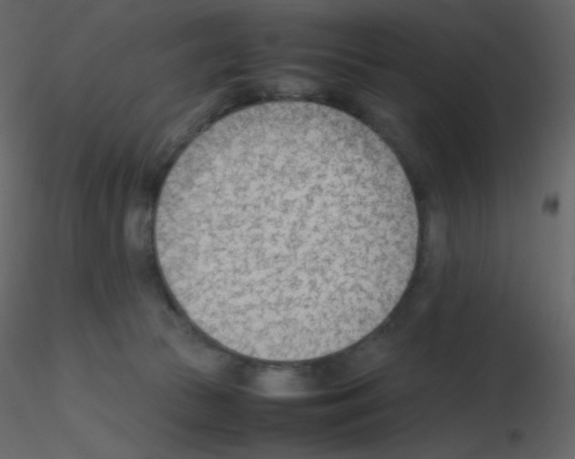 X0000115780177200912241818