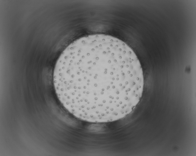 X0000115780179200912241818