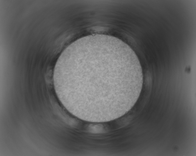 X0000115780181200912241818