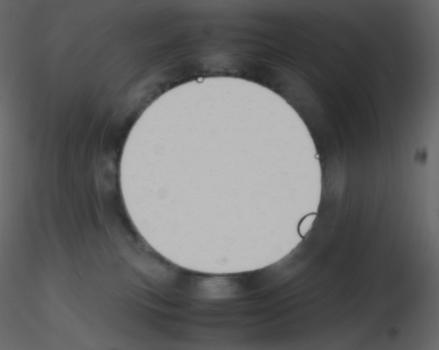 X0000115780183200912241818