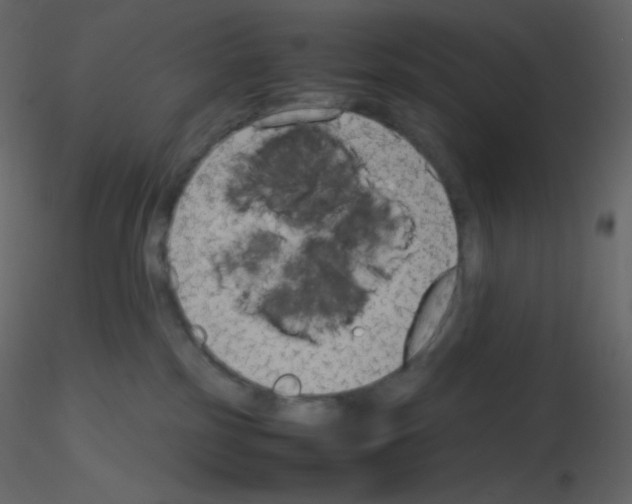 X0000115780185200912241818