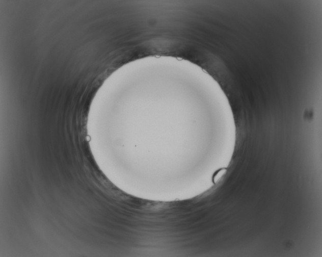 X0000115780186200912241818