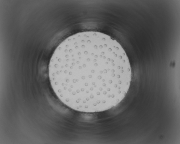 X0000115780187200912241818