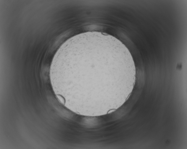 X0000115780189200912241818