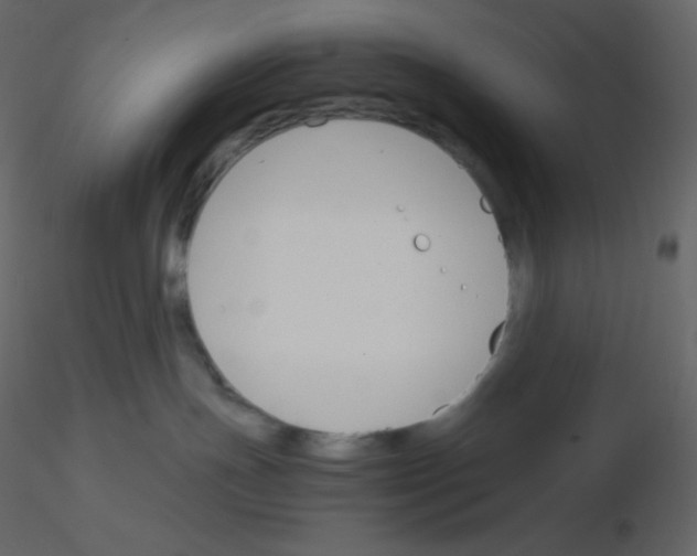 X0000115780191200912241818