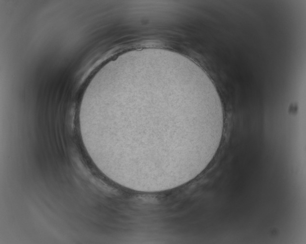 X0000115780194200912241818