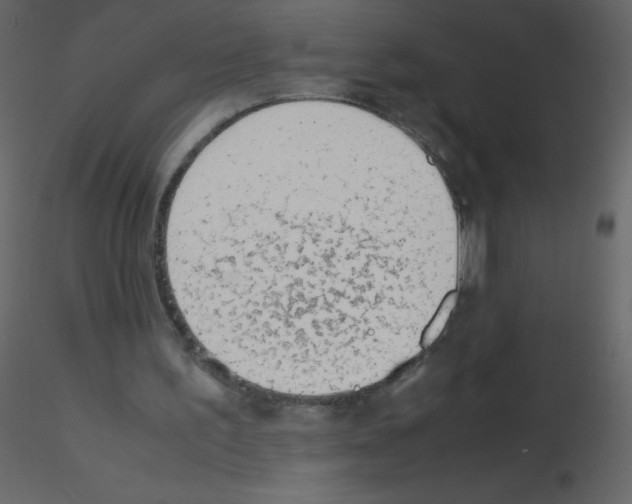 X0000115780195200912241818