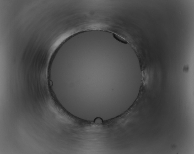 X0000115780196200912241818