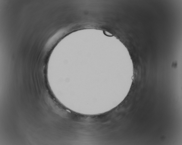 X0000115780197200912241818