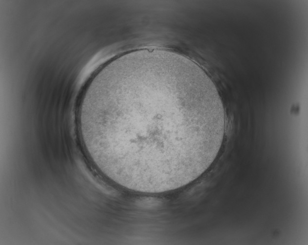 X0000115780198200912241818