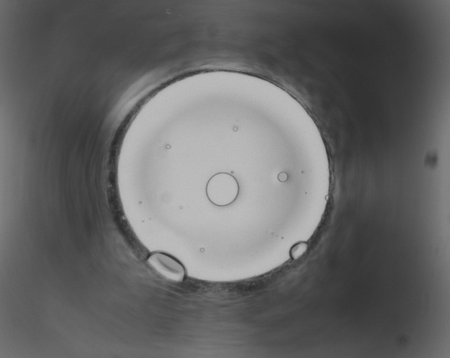 X0000115780199200912241818