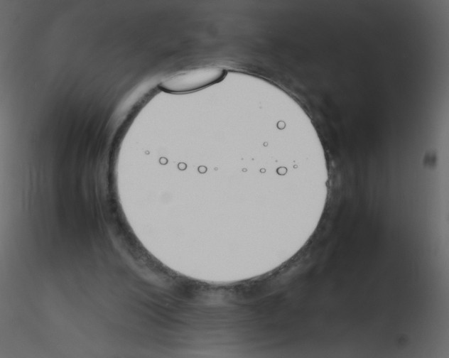 X0000115780200200912241818