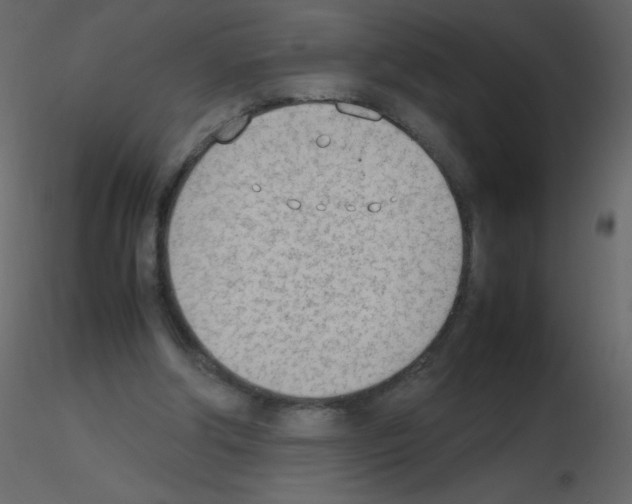 X0000115780202200912241818