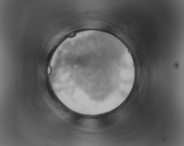 X0000115780203200912241818