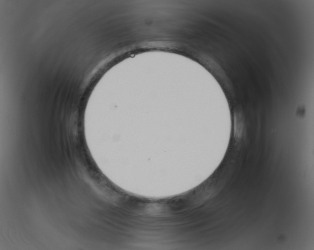 X0000115780204200912241817